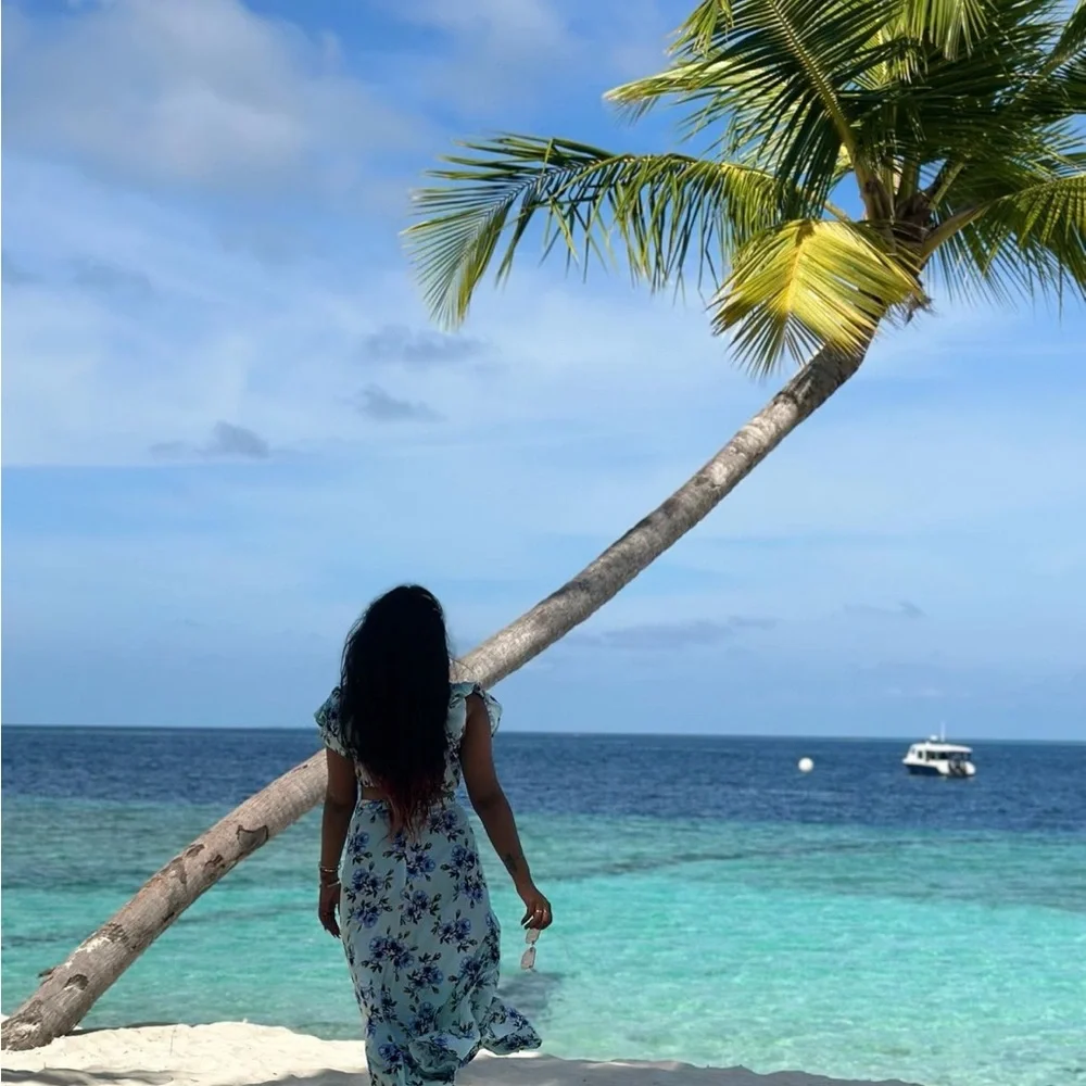 Unlisted inventory and - Low starts - Picture 2 of 13